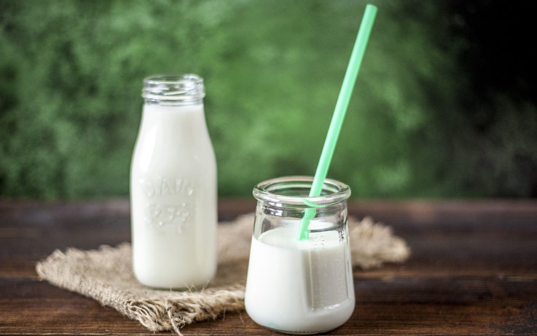Is eating dairy unhealthy?